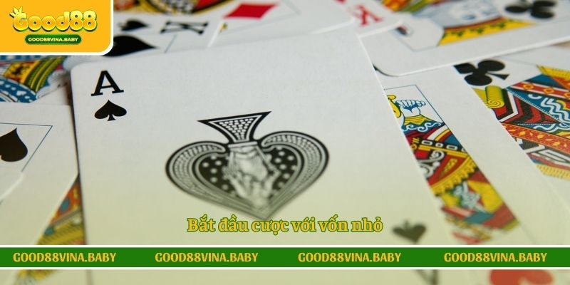 Bạn là người chơi mới nên đặt cược nhỏ ở những ván bài đầu tiên