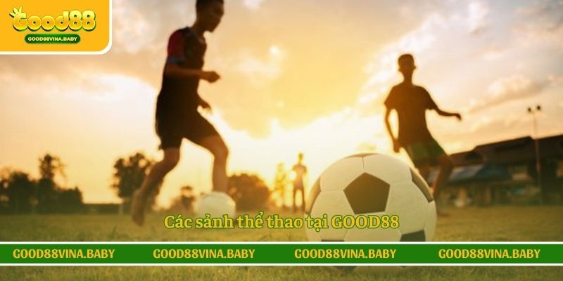 Các sảnh thể thao tại GOOD88