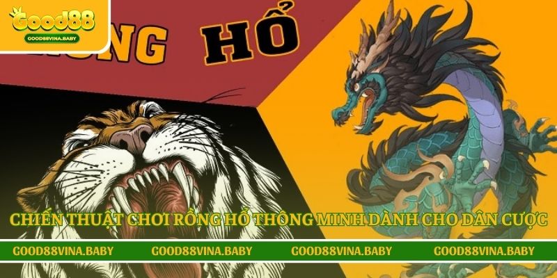 Chiến thuật chơi rồng hổ thông minh dành cho dân cược