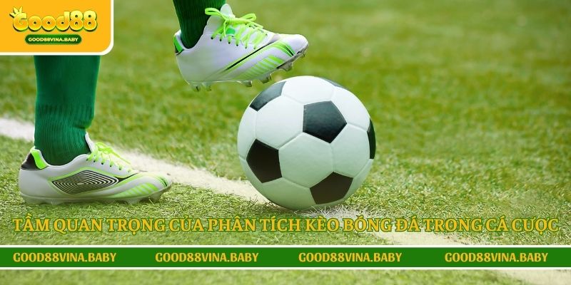Tầm quan trọng của phân tích kèo bóng đá trong cá cược