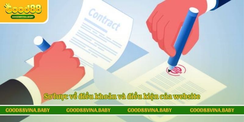 Sơ lược về điều khoản và điều kiện của website